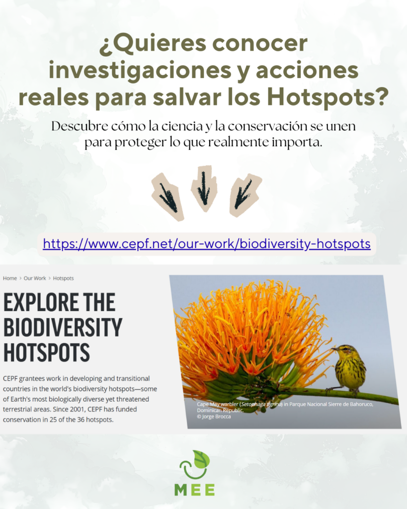 ¿Quieres conocer investigaciones y acciones reales para salvar los Hotspots?

Descubre como la ciencia y la conservación se unen para proteger lo que realmente importa.

