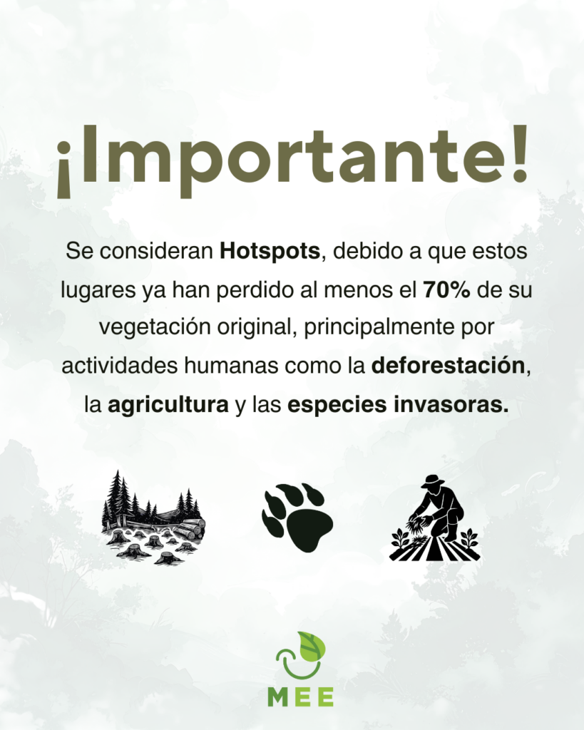 ¡Importante!

Se consideran Hotspots, debido a que estos lugares ya han perdido al menos el 70% de su vegetación original, principalmente por actividades humanas como la deforestación, la agricultura y las especies invasoras.