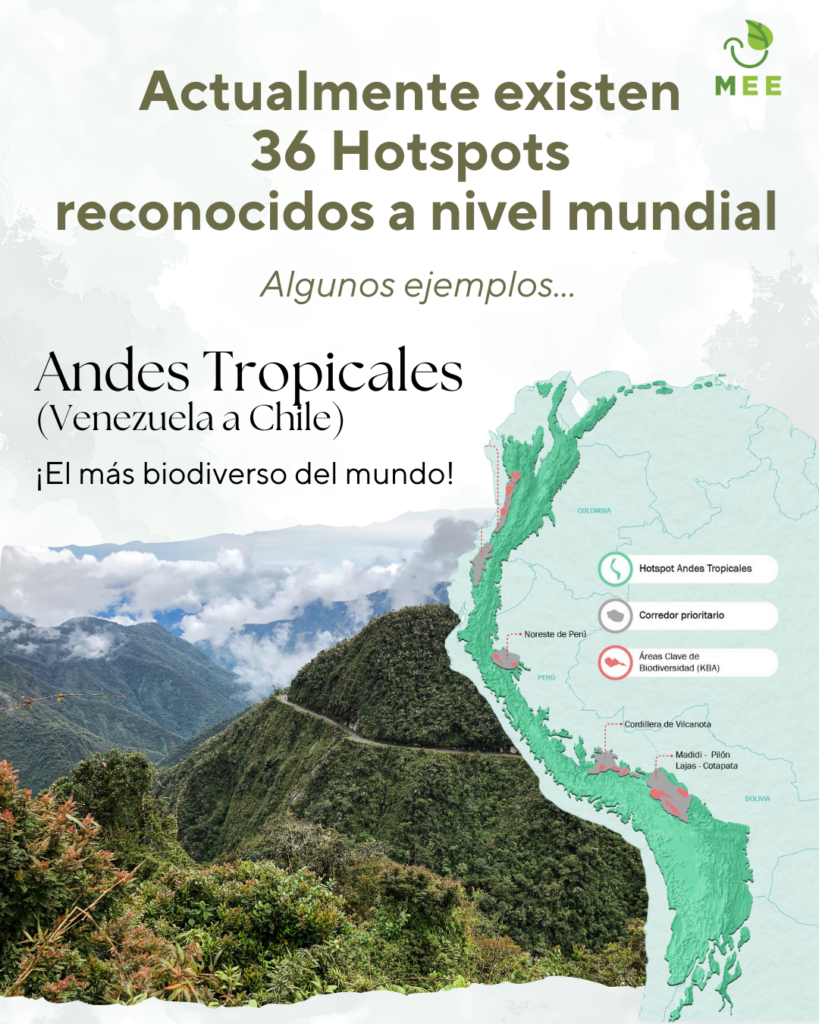 Actualmente existen 36 Hotspots reconocidos a nivel mundial 

Algunos ejemplos...

Andes Tropicales  (Venezuela a Chile)
¡El mas biodiverso del mundo!
